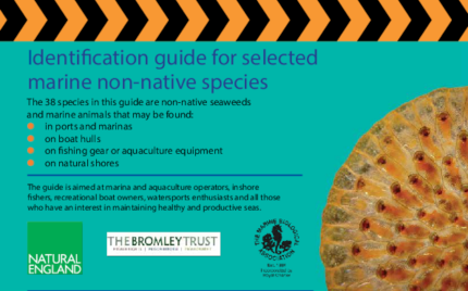 Appendix 1_Identification guide for selected marine non-native species