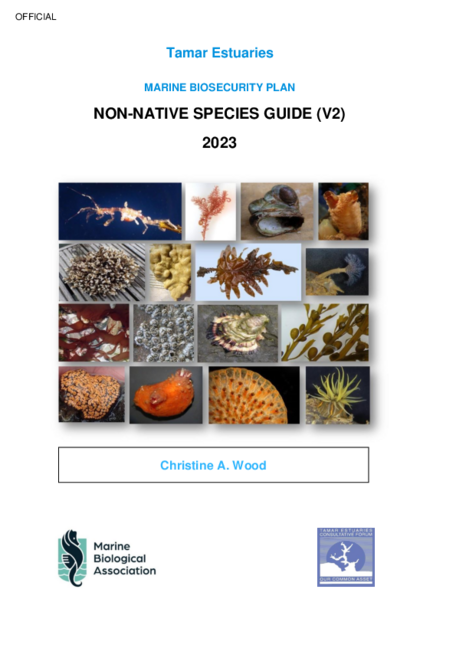 Tamar Estuaries Marine Biosecurity Plan_Non Native Species Guide v2 2023