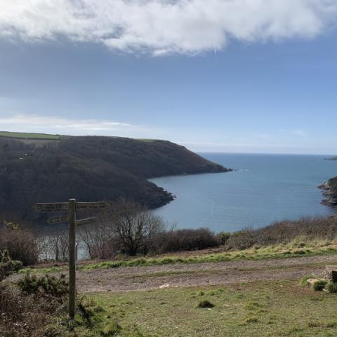 coastal walk