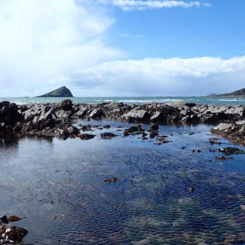 rockpool