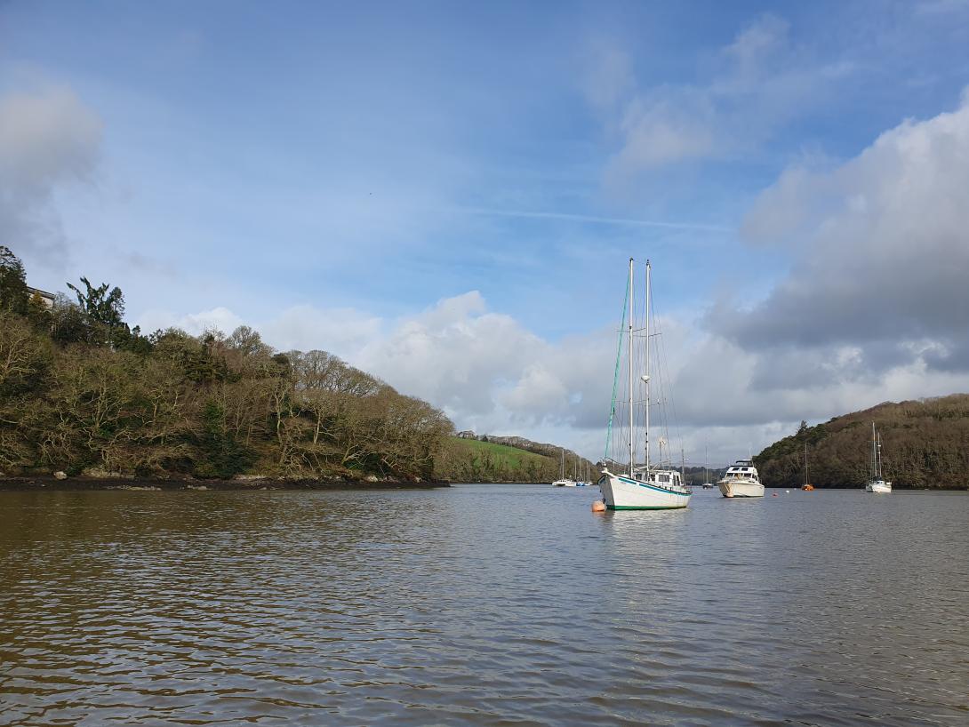 Immage showing the boats moored on the yealm estuary