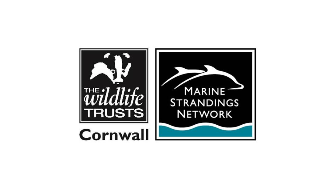 Cornwall Wildlife Trusts Marine Strandings Network Logo