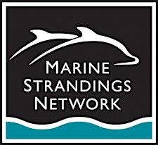 Marine Strandings Network logo